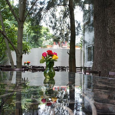 Casa Tepoztlan住宿加早餐旅馆 外观 照片