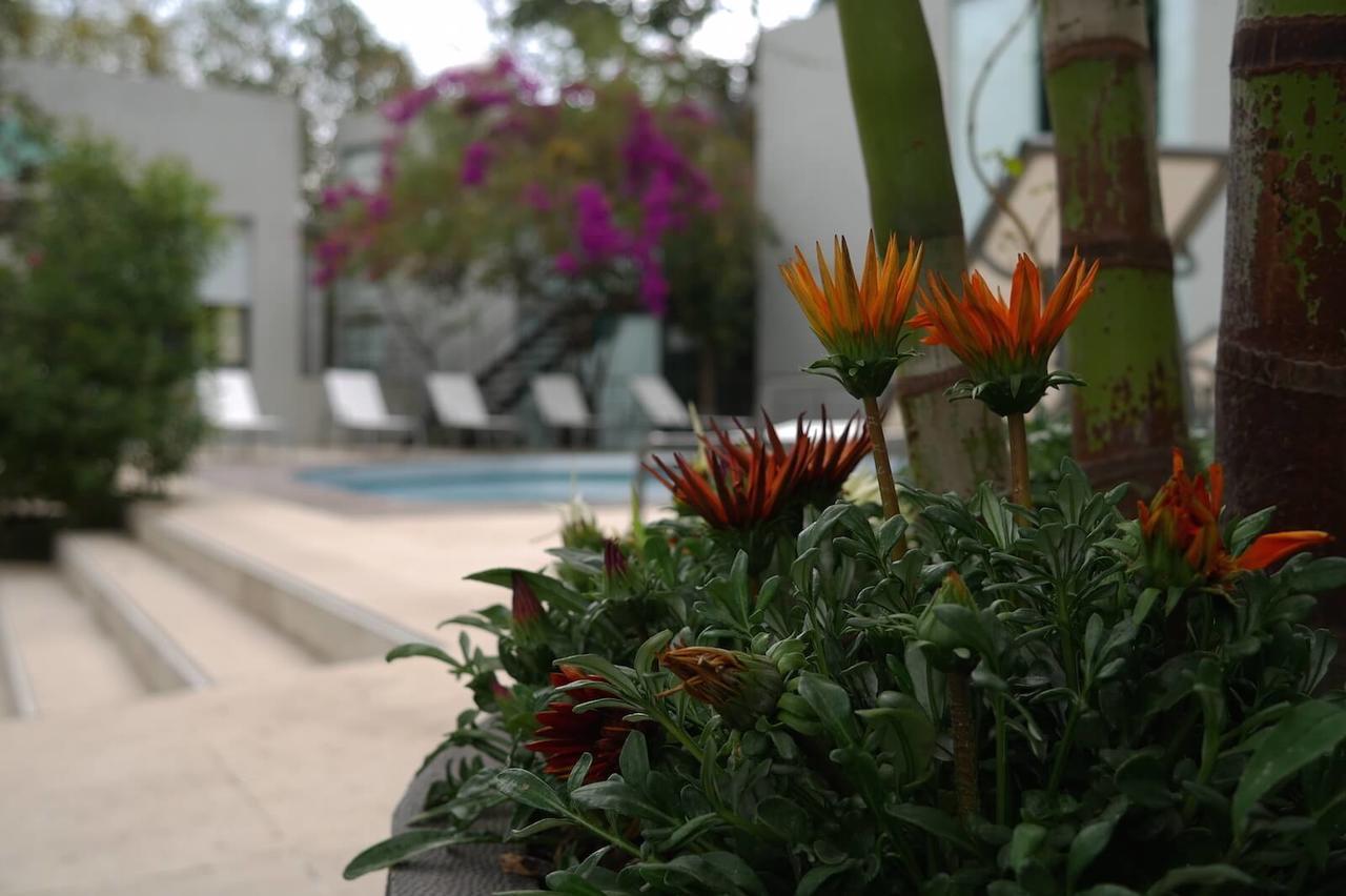 Casa Tepoztlan住宿加早餐旅馆 外观 照片